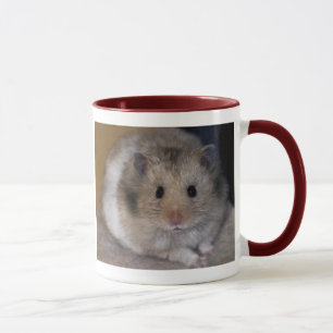 Hamsterkom Mok