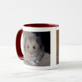 Hamsterkom Mok (Voorkant links)