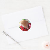 Hamsterkont Ronde Sticker (Envelop)