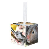 Hamsters Decoratie (Voorkant hoekig)