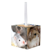 Hamsters Decoratie (Achter hoekig)