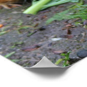 Hamsters Poster (Hoek)