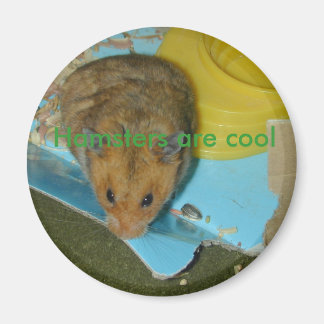 Hamsters zijn cool Magnet