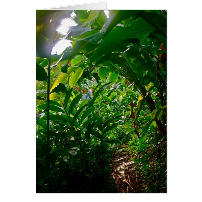 Hana Cabana Foliage (Voorkant)