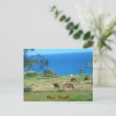Hana Horses Briefkaart (Staand voorkant)