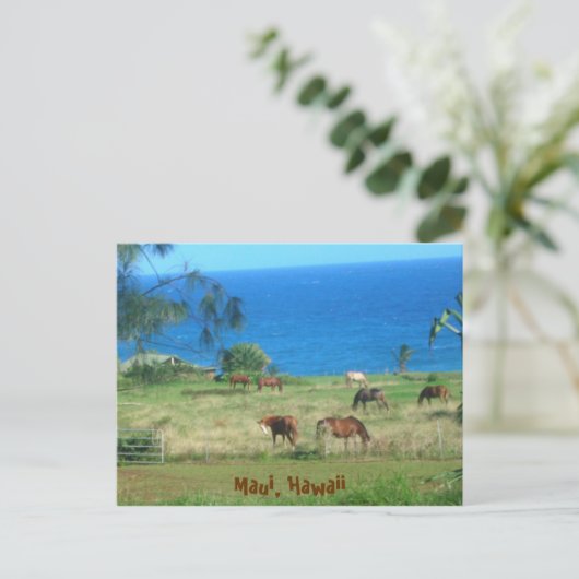 Hana Horses Briefkaart (Staand voorkant)