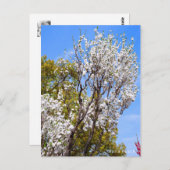 Hana Peach Briefkaart (Voorkant / Achterkant)