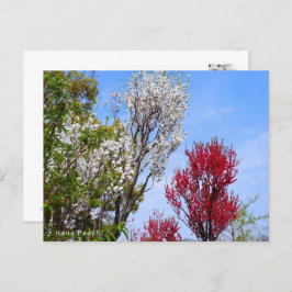 Hana Peach Briefkaart