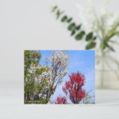 Hana Peach Briefkaart (Staand voorkant)