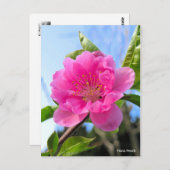 Hana Peach [Briefkaart] Briefkaart (Voorkant / Achterkant)