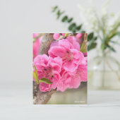 Hana Peach [Briefkaart] Briefkaart (Staand voorkant)