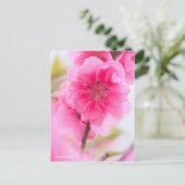 Hana Peach [Briefkaart] Briefkaart (Staand voorkant)