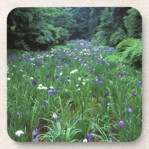 Hana Shobu (Japanse Water Iris), Meiji-schrijn, Bier Onderzetter