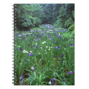 Hana Shobu (Japanse Wateriris), Meiji-schrijn, Notitieboek