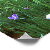 Hana Shobu (Japanse wateriris), Meiji Shrine, Poster (Hoek)