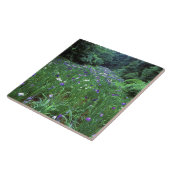 Hana Shobu (Japanse wateriris), Meiji Shrine, Tegeltje (Zijkant)