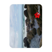Hanakapi' ai Beach Magneet (Verticaal)
