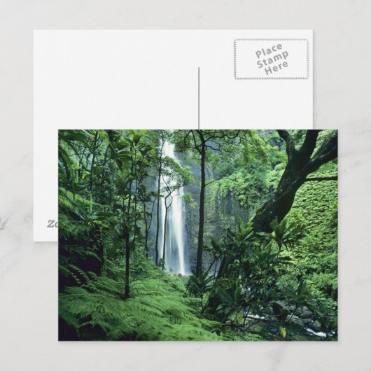 Hanakapiai-Herfsten langs de kust van Na Pali, Kau Briefkaart (Voorkant / Achterkant)