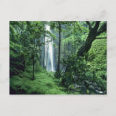 Hanakapiai-Herfsten langs de kust van Na Pali, Kau Briefkaart (Voorkant)