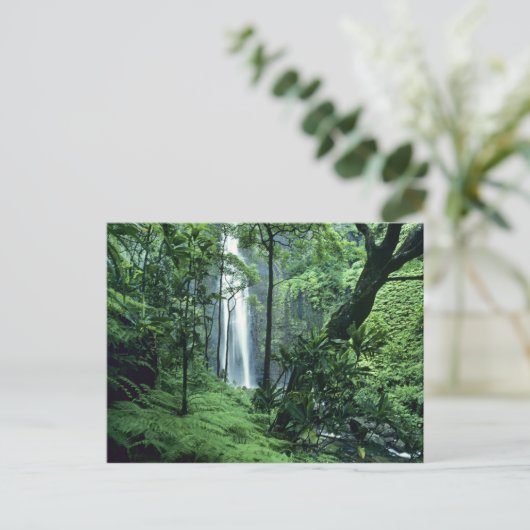 Hanakapiai-Herfsten langs de kust van Na Pali, Kau Briefkaart (Staand voorkant)