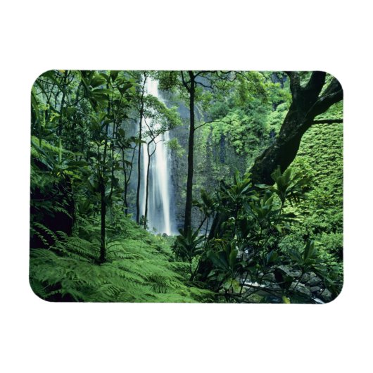 Hanakapiai-Herfsten langs de kust van Na Pali, Kau Magneet (Horizontaal)