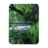 Hanakapiai-Herfsten langs de kust van Na Pali, Kau Magneet (Verticaal)