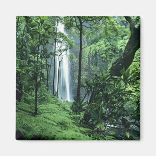 Hanakapiai-Herfsten langs de kust van Na Pali, Kau Magneet