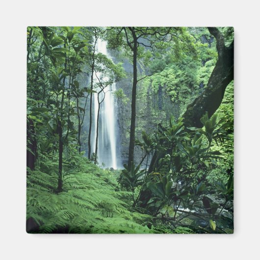 Hanakapiai-Herfsten langs de kust van Na Pali, Kau Magneet (Voorkant)