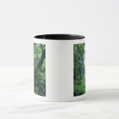 Hanakapiai Herfsten langs de kust van Na Pali, Kau Mok (Midden)