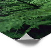 Hanakapiai-Herfsten langs de kust van Na Pali, Kau Poster (Hoek)