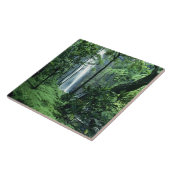 Hanakapiai Herfsten langs de kust van Na Pali, Kau Tegeltje (Zijkant)