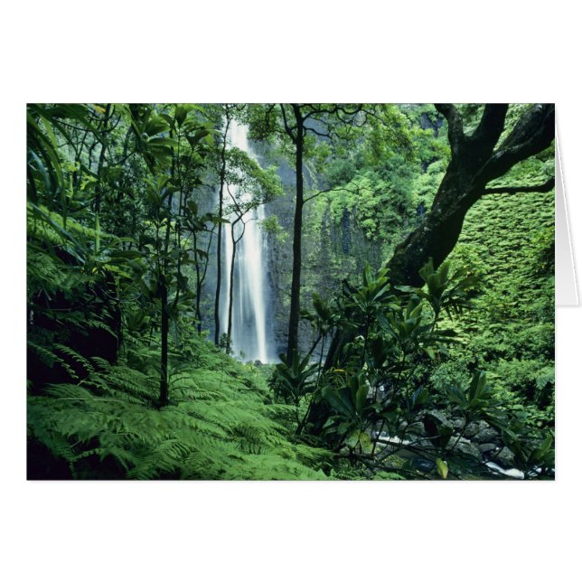 Hanakapiai-waterval langs de Na Pali-kust, Kauai, (Voorkant Horizontaal)