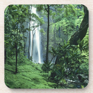 Hanakapiai-waterval langs de Na Pali-kust, Kauai, Bier Onderzetter
