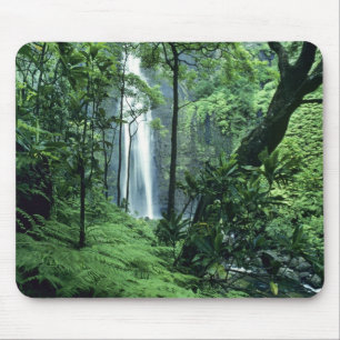 Hanakapiai-waterval langs de Na Pali-kust, Kauai, Muismat