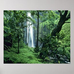 Hanakapiai-waterval langs de Na Pali-kust, Kauai, Poster