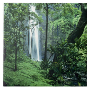 Hanakapiai-waterval langs de Na Pali-kust, Kauai, Tegeltje