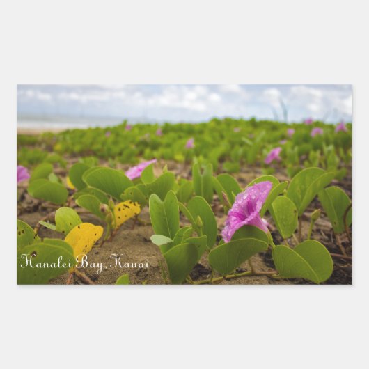 Hanalei Bay, Kauai Flower| Aangepaste Afbeelding s Rechthoekige Sticker (Voorkant)