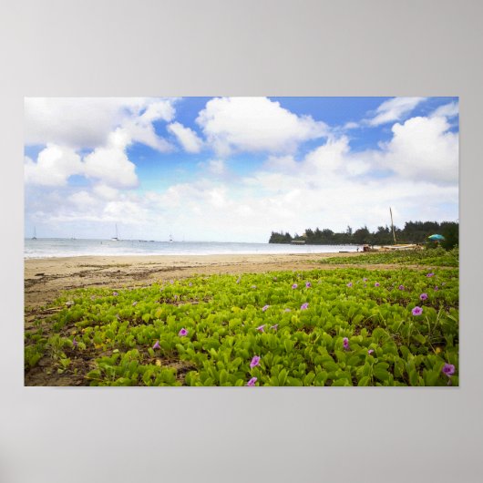 Hanalei Bay, Kauai Hawaii Beach Flowers Poster (Voorkant)