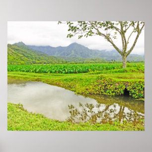 HANALEI (KAUAI) TARO FIELDS POSTER