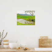 HANALEI (KAUAI) TAROVELDEN POSTER (Keuken)