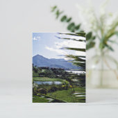 Hanalei - Princeville, North Shore, Kauai Briefkaart (Staand voorkant)