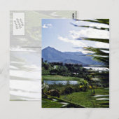 Hanalei - Princeville, North Shore, Kauai Briefkaart (Voorkant / Achterkant)