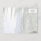 Hanalei - Princeville, North Shore, Kauai Briefkaart (Achterkant)