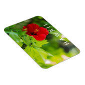 Hanalei Red Hibiscus Tropical Flower Magneet (Rechterzijde)