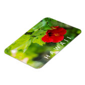 Hanalei Red Hibiscus Tropical Flower Magneet (Linkerzijde)