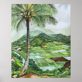 Hanalei Valley 16x20M Poster