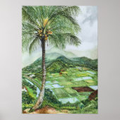 Hanalei Valley Lookout Poster (Voorkant)