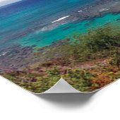Hanauma Bay Hawaï Poster (Hoek)