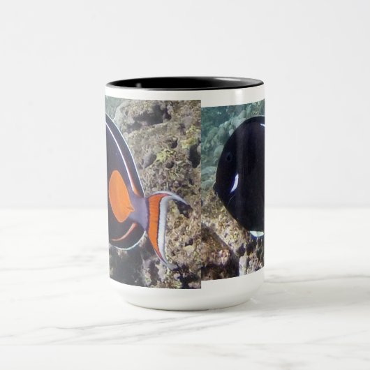 Hanauma Bay Hawaii - Achilees Tang Fish Mok (Midden)