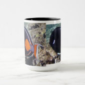 Hanauma Bay Hawaii - Achilees Tang Fish Mok (Midden)